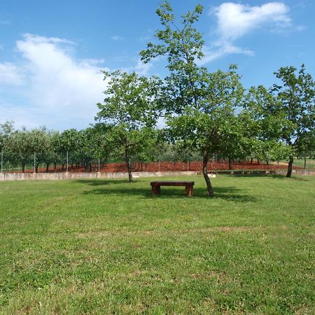 Holiday Home Rosa Gedici Bagian luar foto